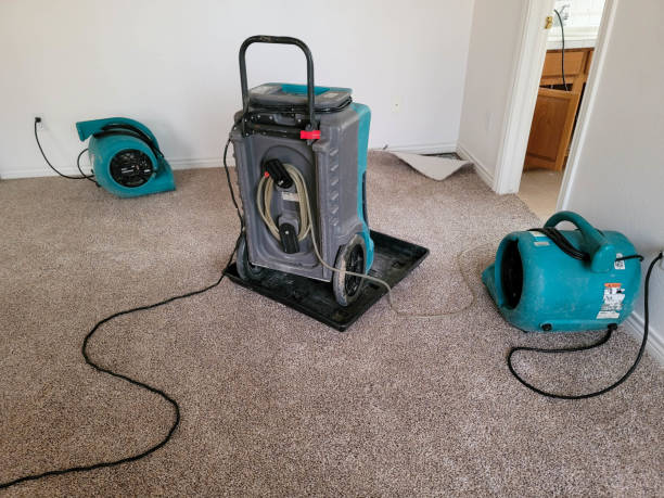 Best Carpet water damage restoration  in Ocean City, MD