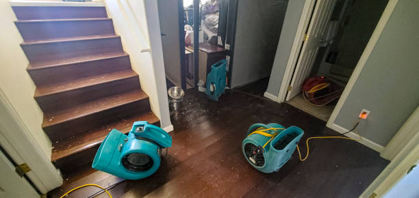  Ocean City, MD Water damage restoration Pros