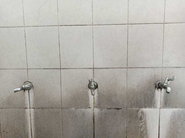 Best Local water damage restoration  in Ocean City, MD